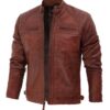 Johnson Dark Brown Quilted Cafe Racer Leather Jacket