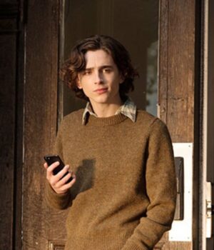 A Rainy Day In New York Timothée Chalamet Sweater