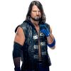 Allen Neal Jones Hoodie Vest 1