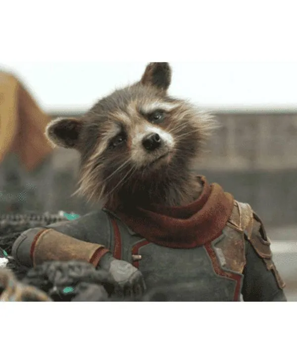 Guardians of The Galaxy 3 Rocket Raccoon Jacket Guardians of The Galaxy 3 Rocket Raccoon Jacket