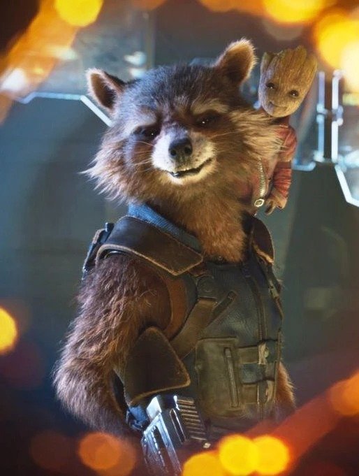 Raccoon Leather Vest Guardians Of The Galaxy Vol 2 Raccoon Leather Vest Guardians Of The Galaxy Vol 2