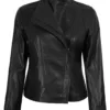 Arezzo Black Flap Closure Cafe Racer Leather Jacket product image