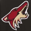 Arizona Coyotes Poly-Twill Front-Hit Black Jacket product image