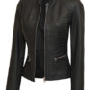 Women's Tall Black Cafe Racer Leather Jacket product image