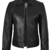 Women's Harrington Style Black Real Leather Jacket product image