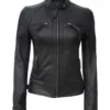 Johnson Tall Women Black Cafe Racer Leather Jacket product image